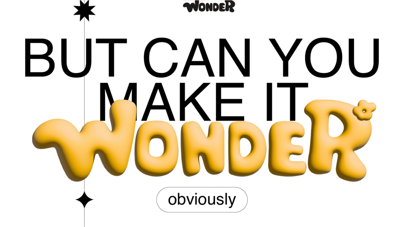 But Can You Make It Wonder - Obviously